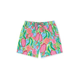 Boardies Ice & Slice Swim Shorts in Multi