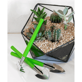 Burgon & Ball  Houseplant and Terrarium Tool Set