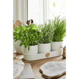 Burgon & Ball Sophie Conran Herb Pots in Buttermilk