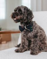Chelsea Peers Pet 12 Dogs of Christmas Print Bow Tie