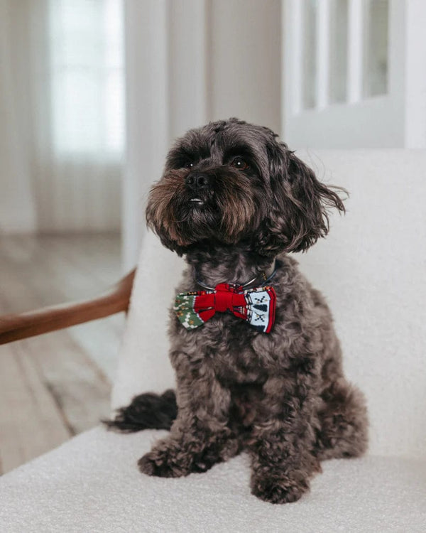 Chelsea Peers Pet Christmas Nutcracker Print Bow Tie