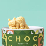 Chococo Chocolate Dorset Dinosaurs