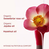 Clarins Lip Oil 54 Iconic Red