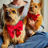 Creature Clothes Maxi Bow Tie In Cranberry Velvet