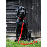 Creature Clothes Waterproof Biothane Dog Vegan Lead In Red