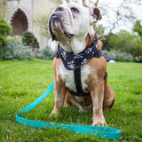 Creature Clothes Waterproof Biothane Dog Vegan Lead In Teal
