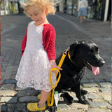 Creature Clothes Waterproof Biothane Dog Vegan Lead In Yellow