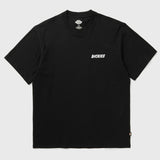 Dickies Dry Ridge Graphic T-Shirt In Black