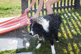 Dock & Bay Canine Coral Dog Towel Medium