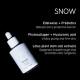 Dr.LEVY Switzerland Fire & Snow