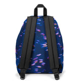 Eastpak Padded Pak'r® National Geographic Fish