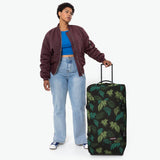 Tranverz L Brize Palm Core