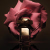 Estée Lauder AERIN Rose Cocoa Perfume Spray 50ml