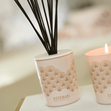 Esteban Iris cachemire Decorative Reed Diffuser 100ml