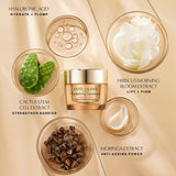Estée Lauder Nighttime Experts Advanced Night Repair Skincare Gift Set
