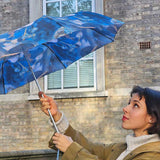 Fulton Minilite 2 National Gallery Foldable Umbrella