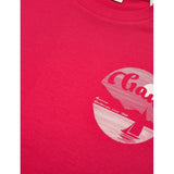 GANT Graphic T-shirt In Watermelon Red