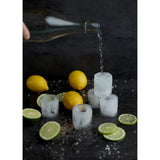 Gentlemen's Hardware Ice Cube Shot Glass Mould