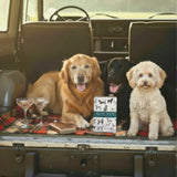 Gin In A Tin - Time To Paws For A Drink, 50L