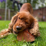 Green & Wilds Chewroot - Medium