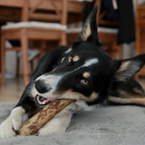 Green & Wilds Olivewood Chew - Large