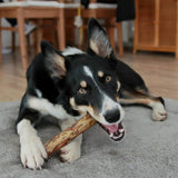 Green & Wilds Olivewood Chew - Medium