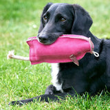 Green & Wilds Peggy the Pig, Eco Dog Toy
