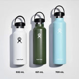 Hydro Flask 21 oz (621 ml) Standard Mouth In Aloe