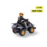 Dickie Toys RC Mud Quad
