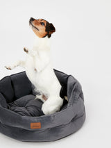 Joules Chesterfield Pet Bed Grey
