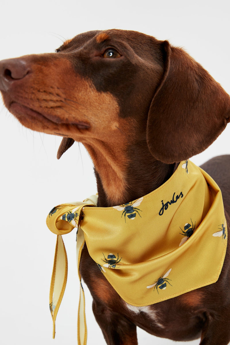 Joules Gold Bee Print Dog Neckerchief