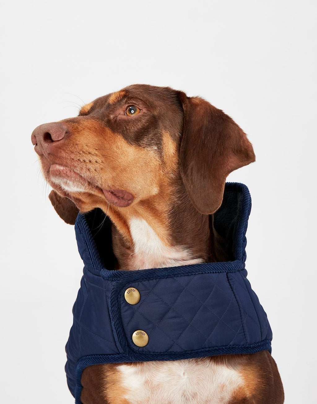 Joules Navy Newdale Quilted Dog Coat