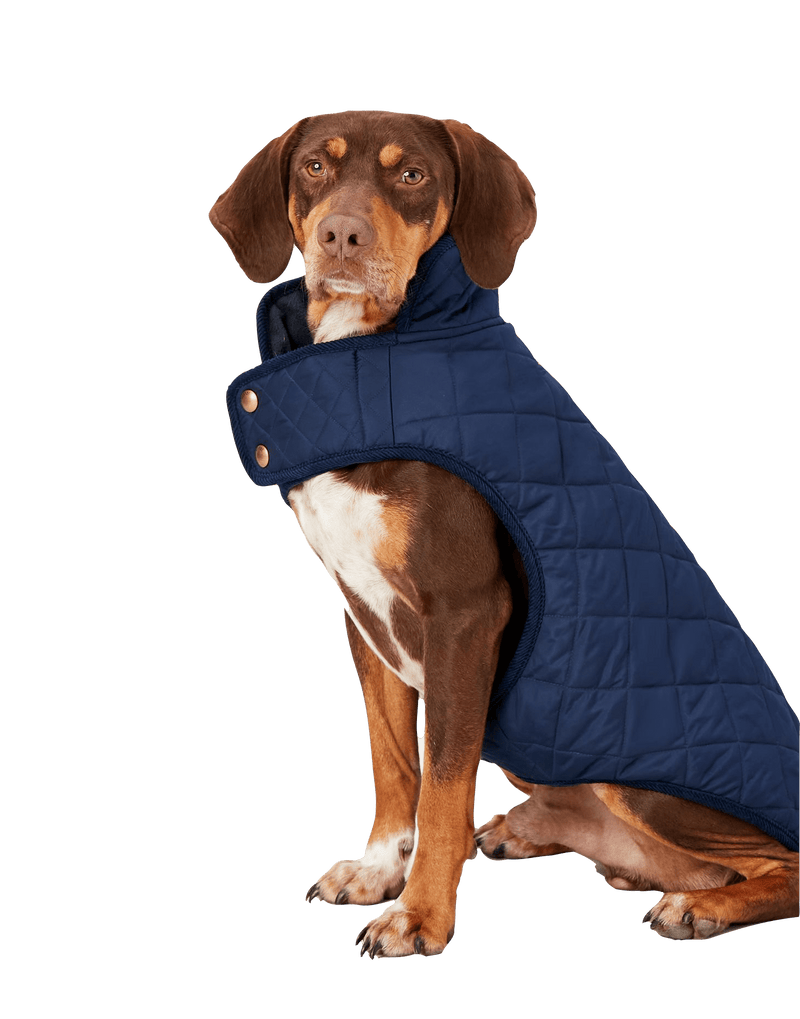 Joules Navy Newdale Quilted Dog Coat
