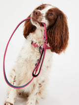 Joules Pink Leather Dog Collar