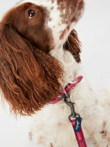 Joules Pink Leather Dog Collar