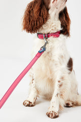 Joules Pink Leather Dog Collar