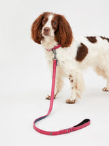 Joules Pink Leather Dog Collar