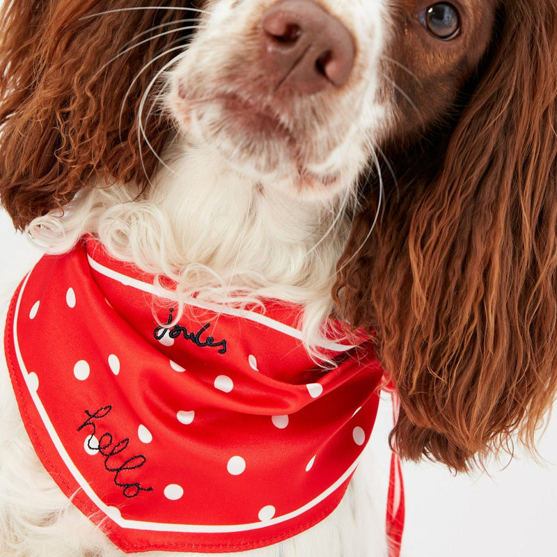 Joules Red Hello Polka Dot Dog Neckerchief Elys Wimbledon