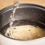 Judge Mini Rice Cooker