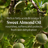 L'Occitane Luxury Size Almond Shower Oil Pump 500ml