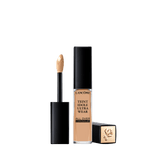 Lancôme Teint Idole Ultra Wear All Over Face Concealer