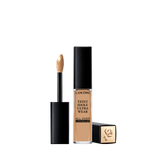 Lancôme Teint Idole Ultra Wear All Over Face Concealer