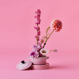 Le Creuset Petite Round Casserole In Shell Pink