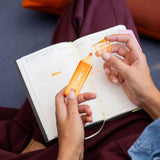 Legami Meow Highlighter - Orange