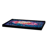 LEGO® The Milky Way Galaxy