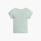 Levi's Dry Goods V-neck Tee in Green