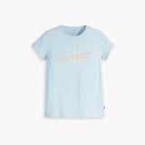 Levi's Graphic Authentic Tee in Blue