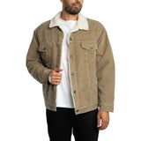 Levi's Relaxed Fit Sherpa Trucker Jacket In Timber Wolf