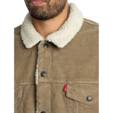 Levi's Relaxed Fit Sherpa Trucker Jacket In Timber Wolf