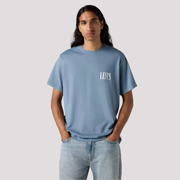 Levis Relaxed Fit Short Sleeve Graphic Tee In Blue